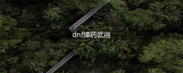 dnf2021年男弹药武器及装备选择(dnf弹药武器)